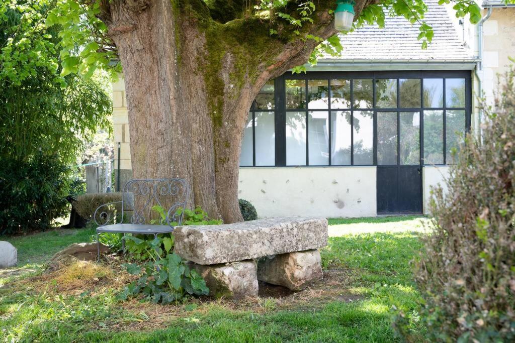 Le Clos Du Tilleul Fabuleuse Propriete 15 A 30 Pers Piscine Au Coeur D'Un Charmant Village Thilouze Eksteriør bilde